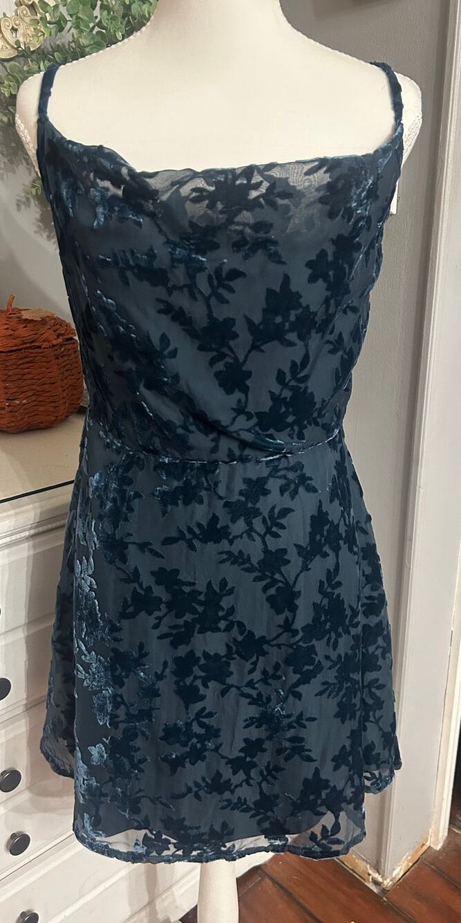 Lulus Velvet Burnout Floral Mini Dress S Whimsygoth Blue romantic goth holiday